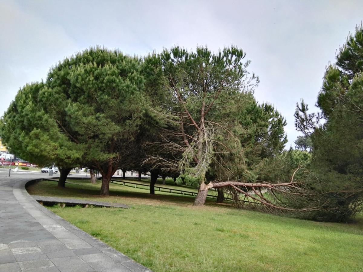 Aticos Con Terraza Vistas Urbanos 100 Playa Daire Sanxenxo Dış mekan fotoğraf